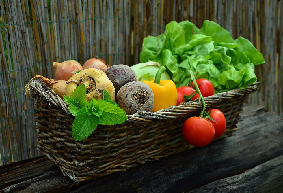 NKY Forum: Farm to Table