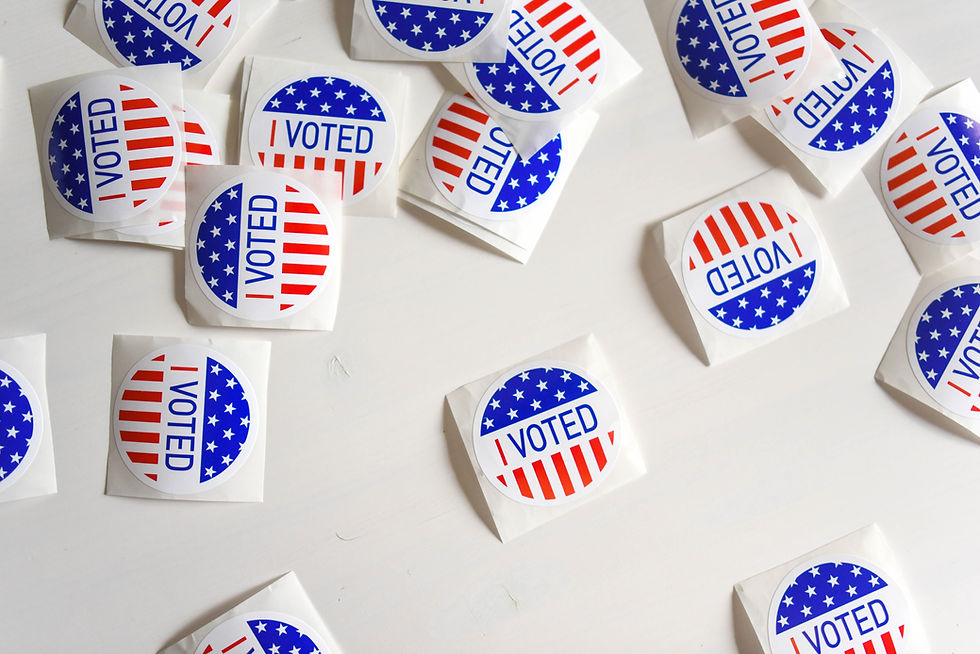 Elections and Security Issues